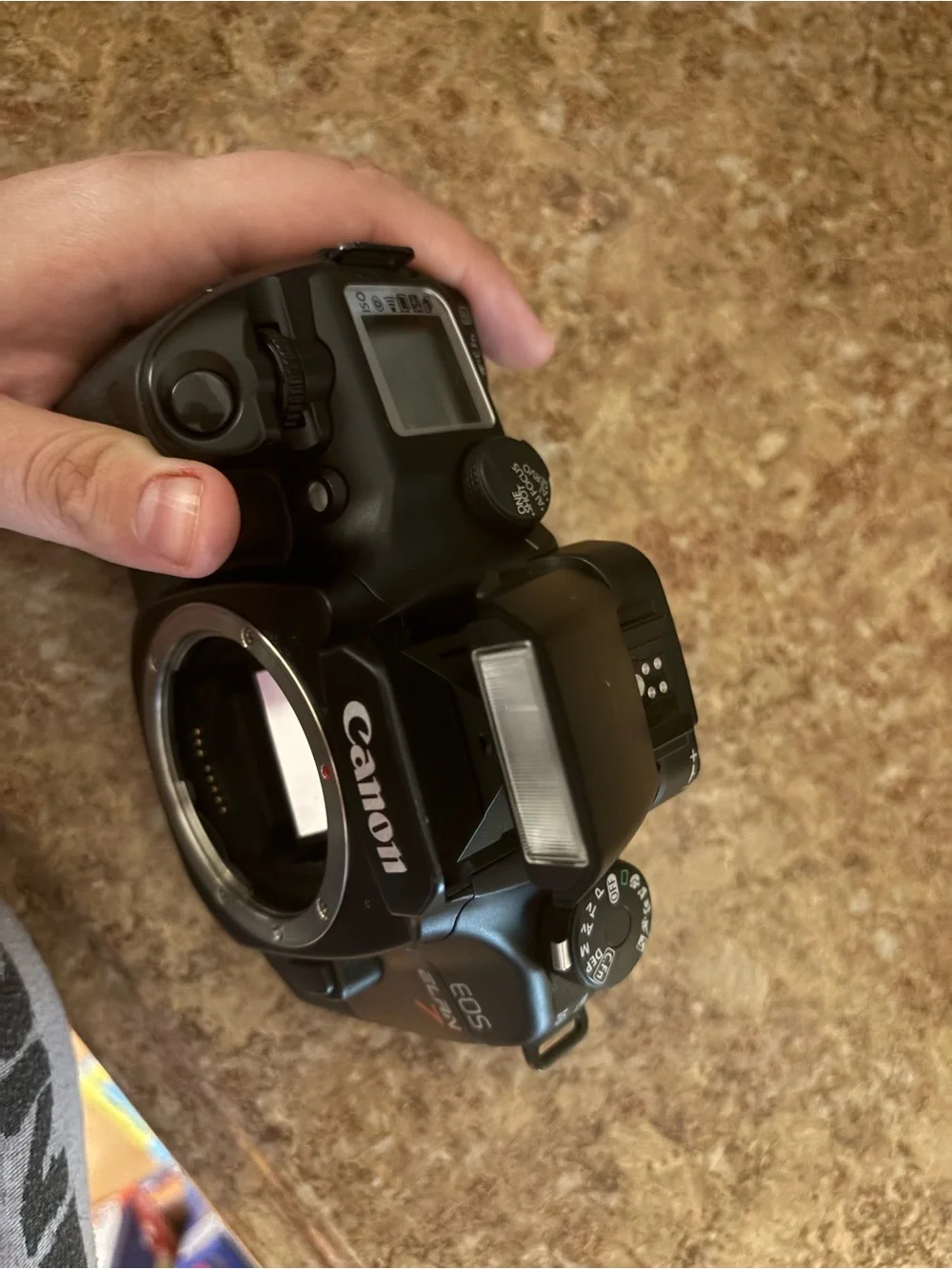 Canon EOS Elan 7 Black 35mm SLR Film Camera Body (Black)